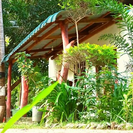 Sigiri Picaso Home Stay سيغيرِيا المظهر الخارجي الصورة