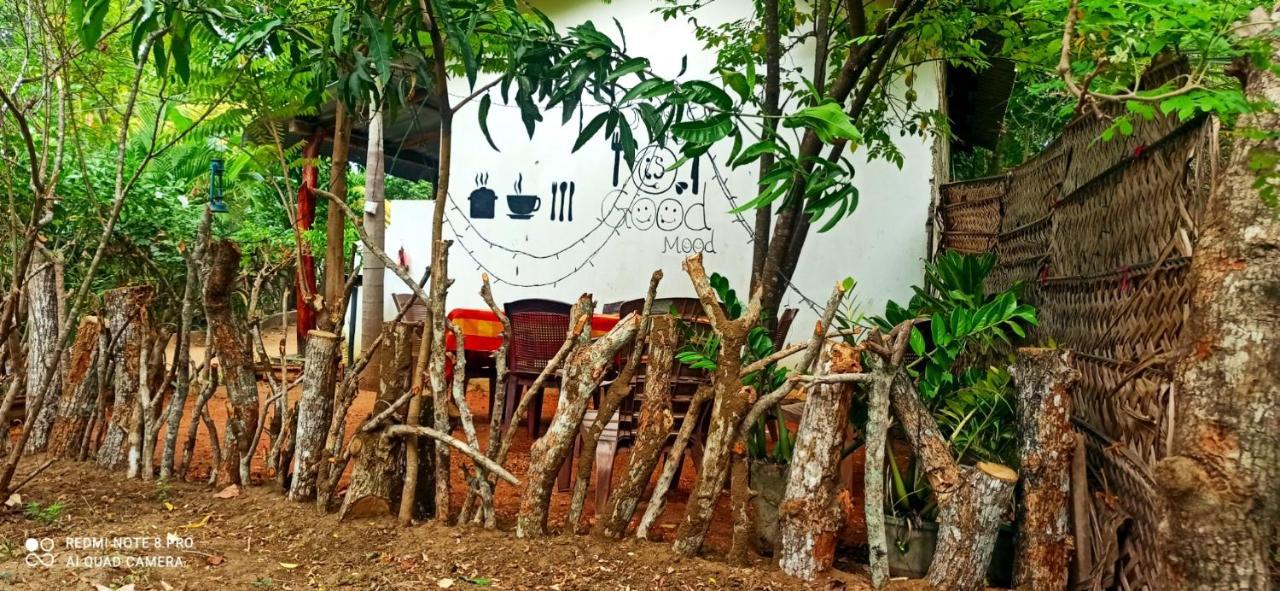 Sigiri Picaso Home Stay سيغيرِيا المظهر الخارجي الصورة
