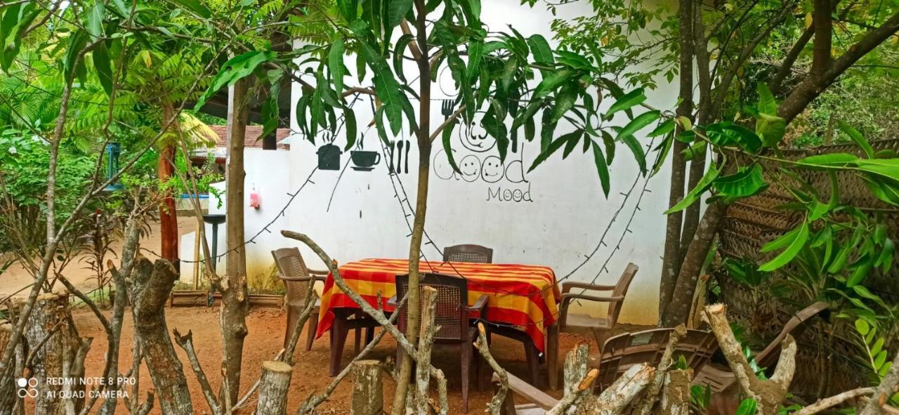 Sigiri Picaso Home Stay سيغيرِيا المظهر الخارجي الصورة