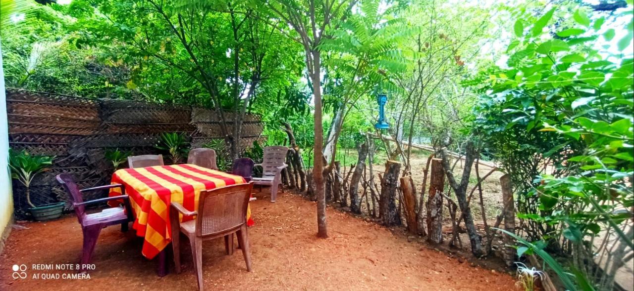 Sigiri Picaso Home Stay سيغيرِيا المظهر الخارجي الصورة
