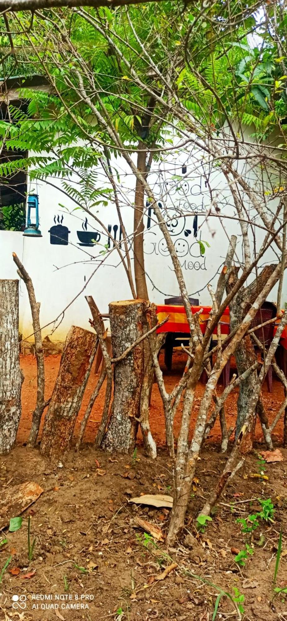 Sigiri Picaso Home Stay سيغيرِيا المظهر الخارجي الصورة