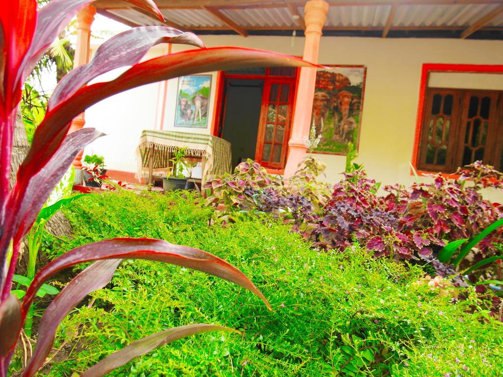 Sigiri Picaso Home Stay سيغيرِيا المظهر الخارجي الصورة