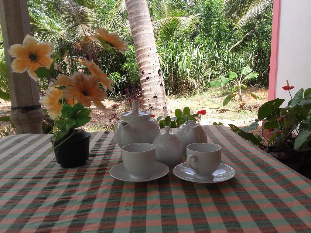 Sigiri Picaso Home Stay سيغيرِيا المظهر الخارجي الصورة
