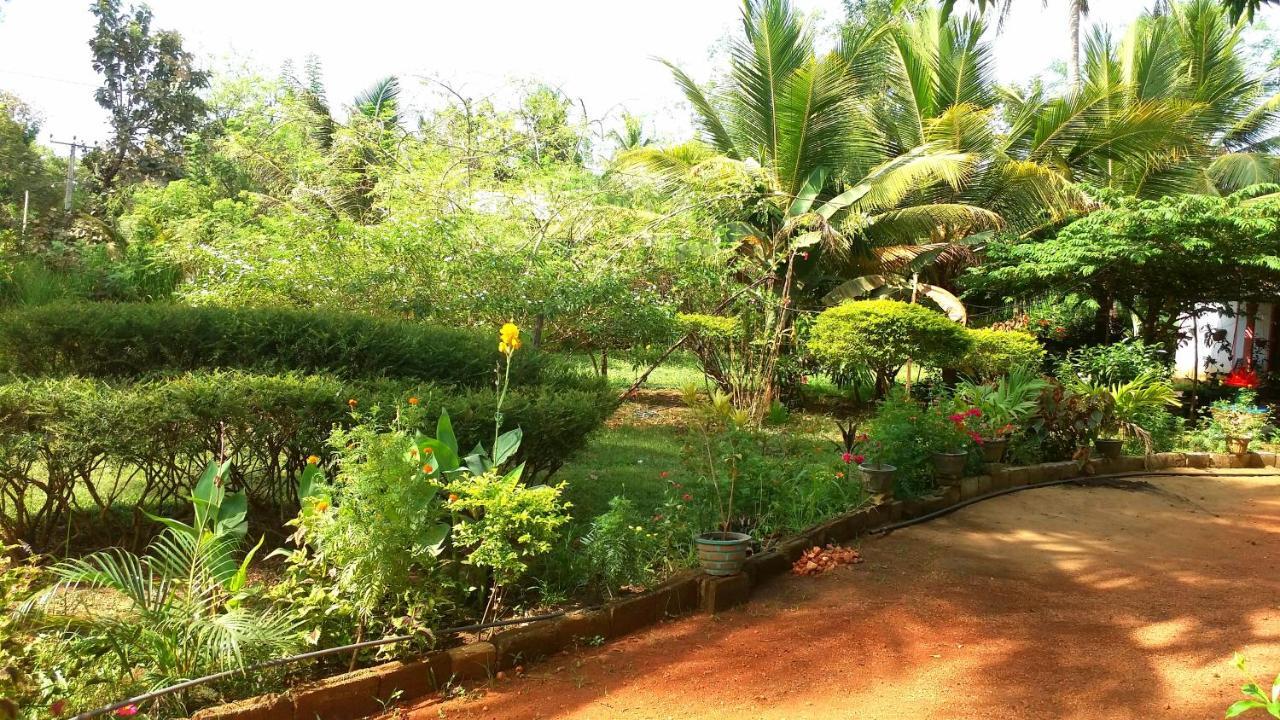 Sigiri Picaso Home Stay سيغيرِيا المظهر الخارجي الصورة