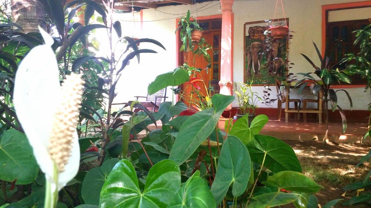 Sigiri Picaso Home Stay سيغيرِيا المظهر الخارجي الصورة