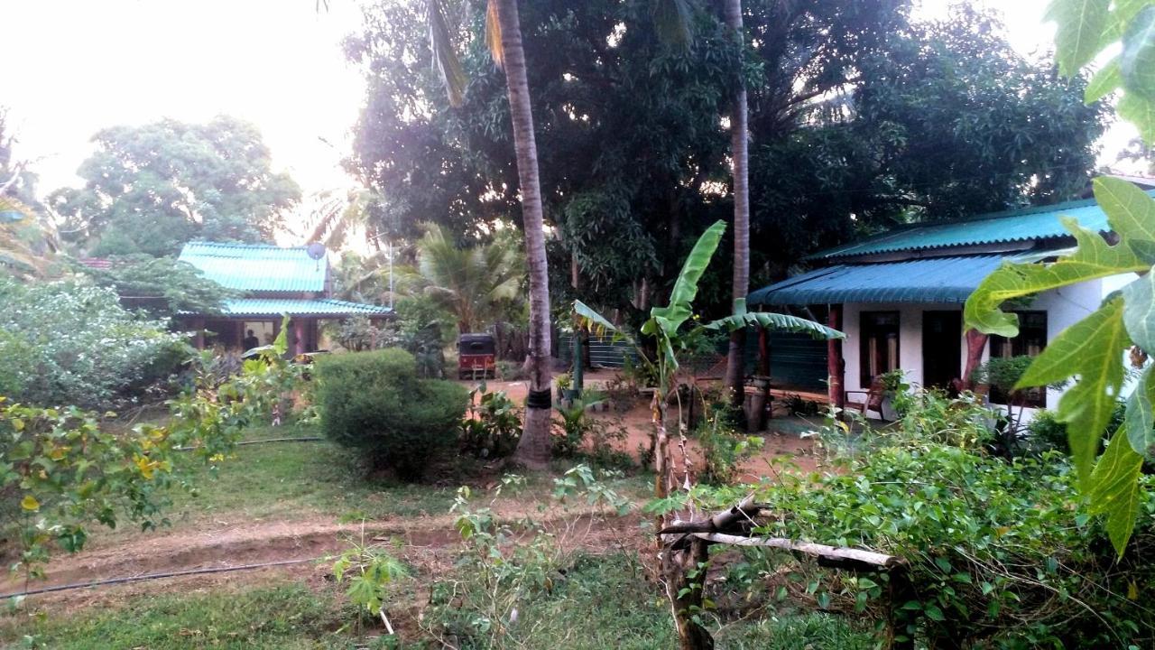 Sigiri Picaso Home Stay سيغيرِيا المظهر الخارجي الصورة