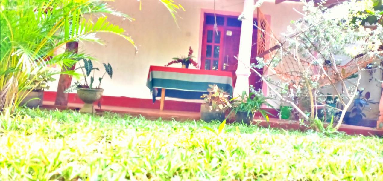 Sigiri Picaso Home Stay سيغيرِيا المظهر الخارجي الصورة