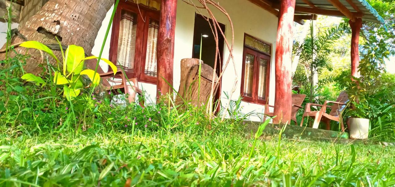 Sigiri Picaso Home Stay سيغيرِيا المظهر الخارجي الصورة